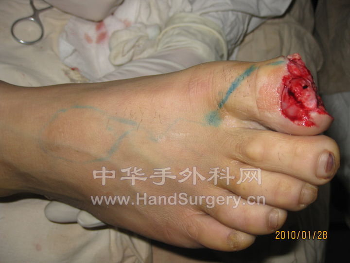 照片 252.jpg