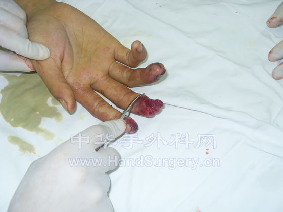 SDC11550.JPG