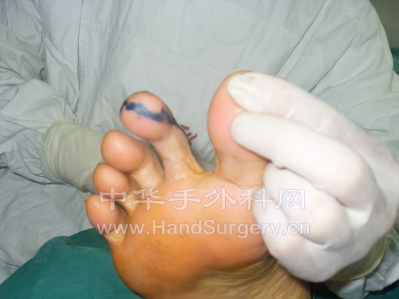 SDC11552.JPG