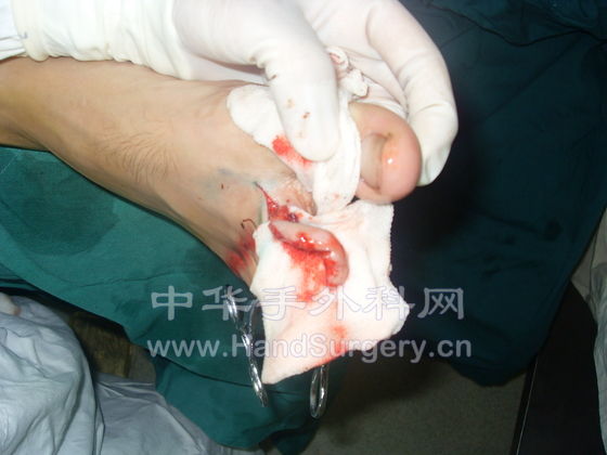 SDC11557.JPG
