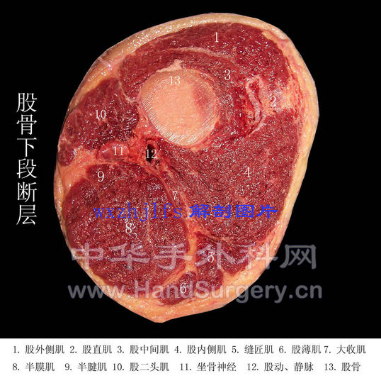 307A06.JPG