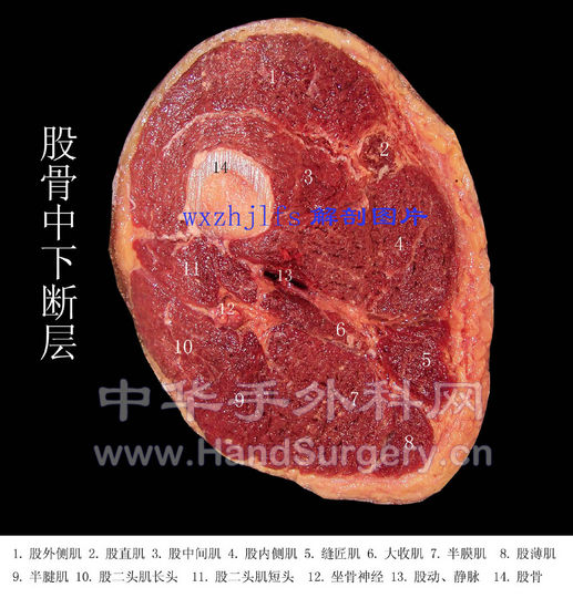 306A03.JPG