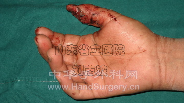 IMG_4568副本_调整大小.jpg