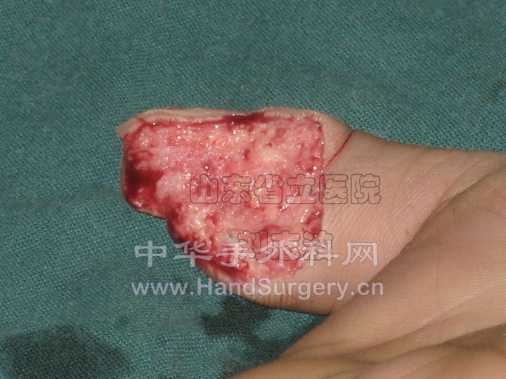 IMG_4596副本_调整大小.jpg