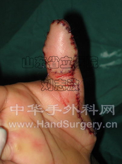 IMG_5044副本_调整大小.jpg