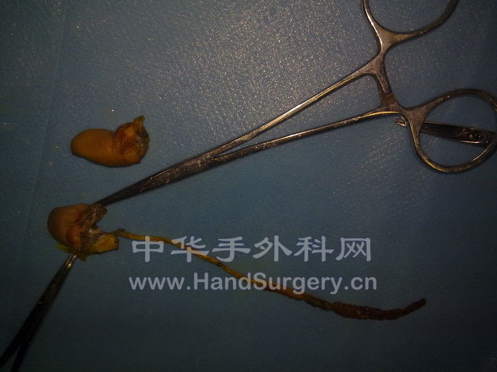 20100507063.jpg