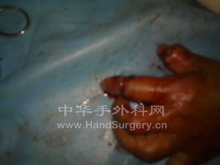 20100508066.jpg