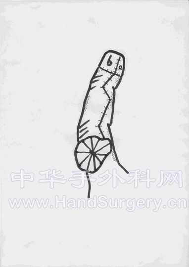 Scan0003.JPG