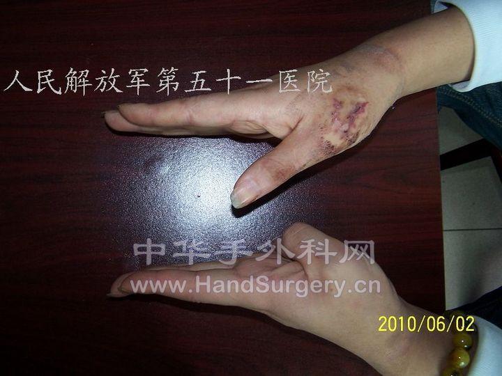 100_8453.JPG