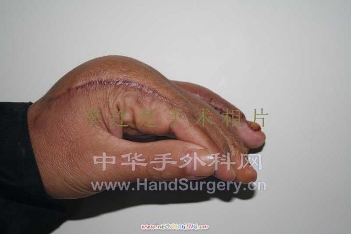 照片 410.jpg