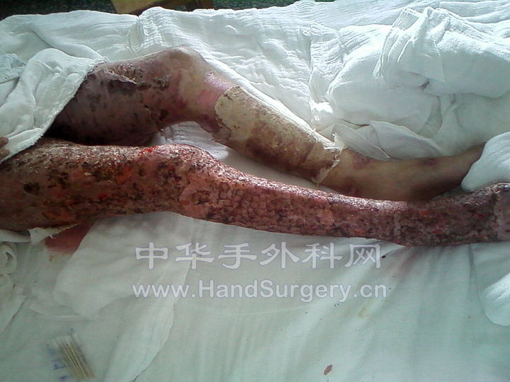 IMG0098.jpg