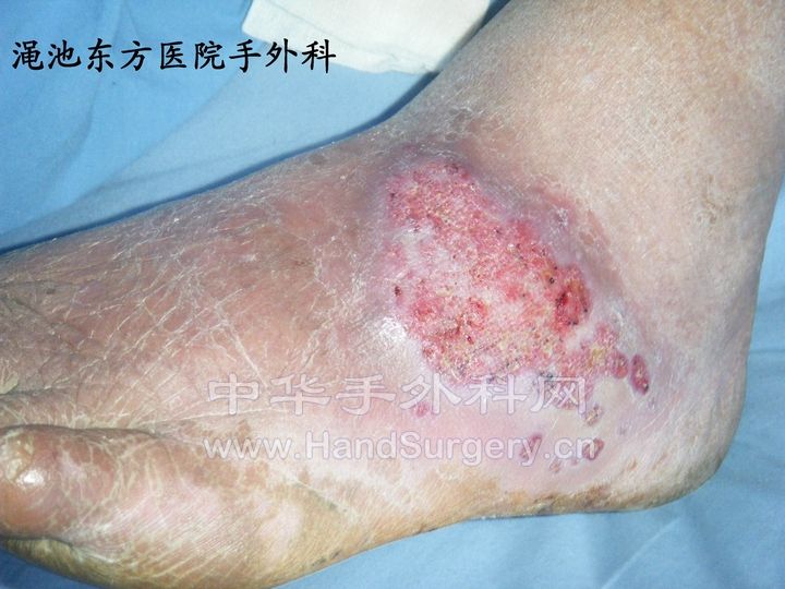 照片 031.jpg
