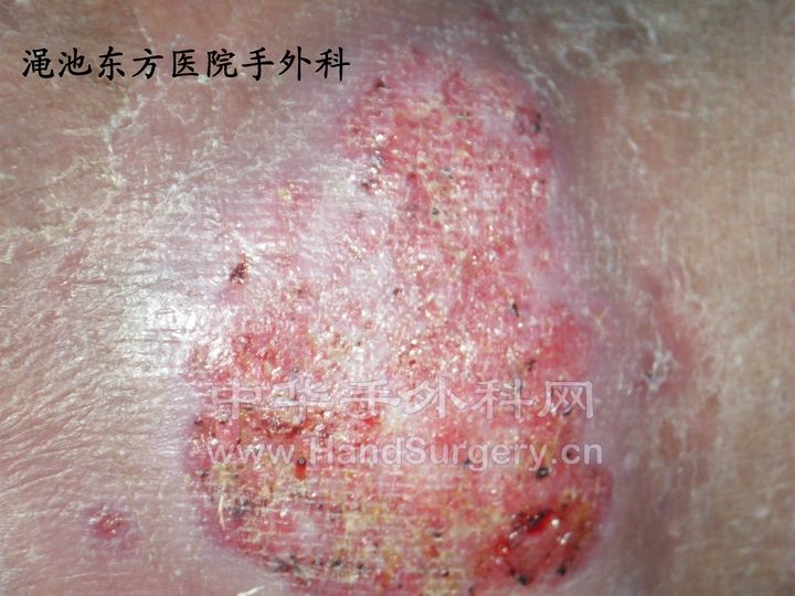 照片 036.jpg
