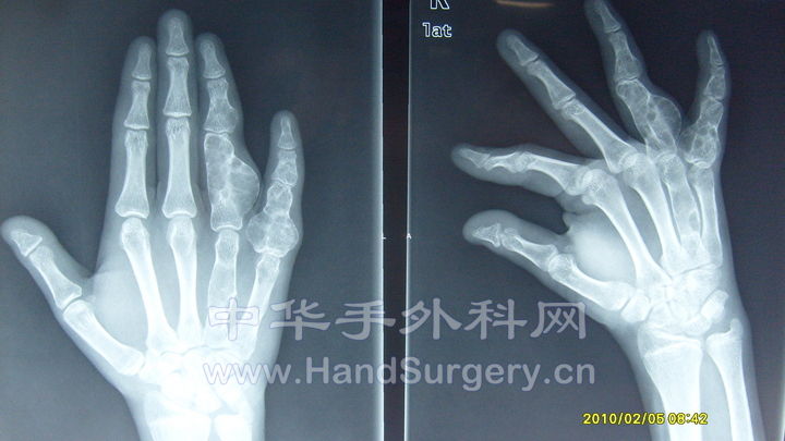 S6306743.JPG