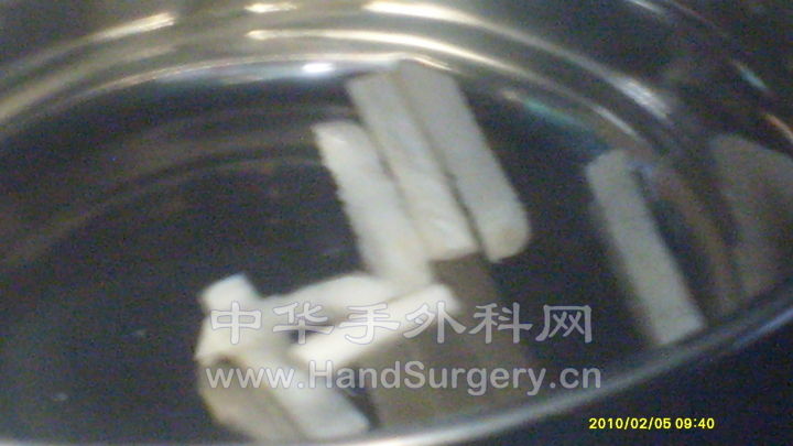 S6306779.JPG