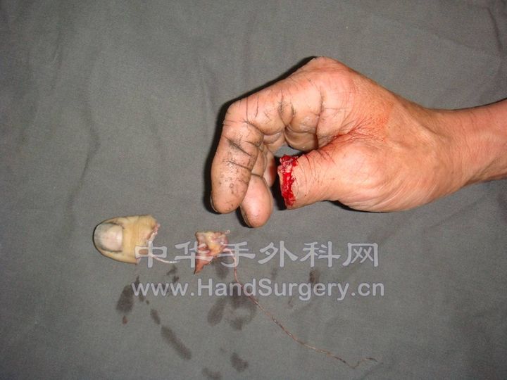 图片10.jpg