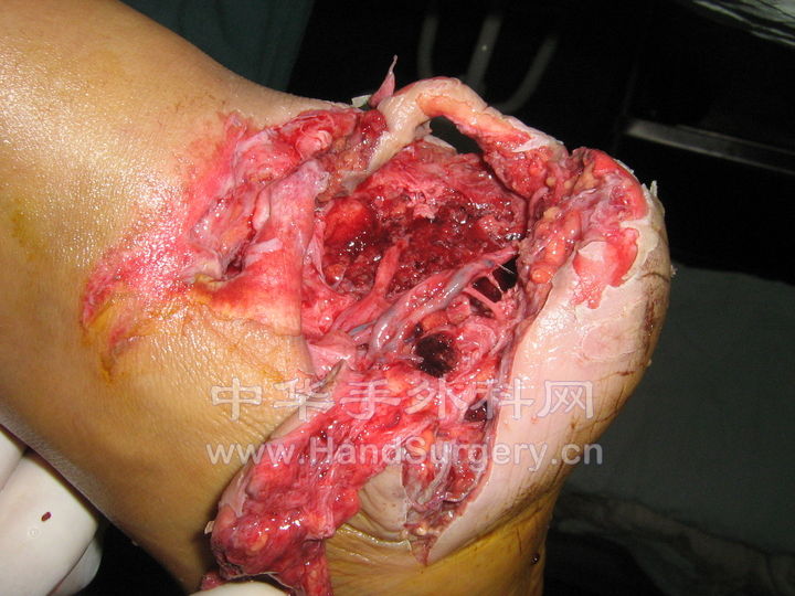 照片 577.jpg