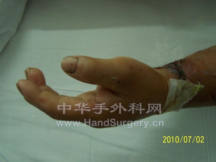 100_89931.JPG