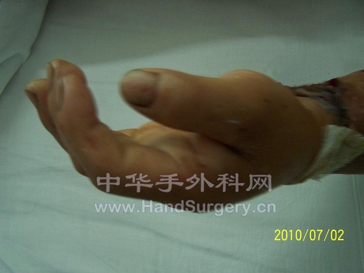 100_89941.JPG