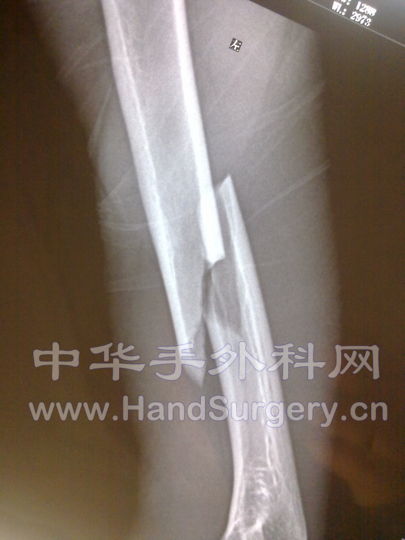 20100630079.jpg