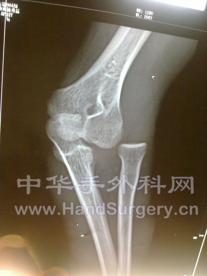 20100630081.jpg