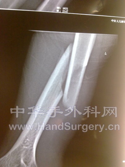 20100630082.jpg
