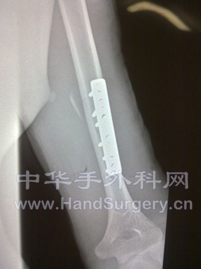 20100630083.jpg