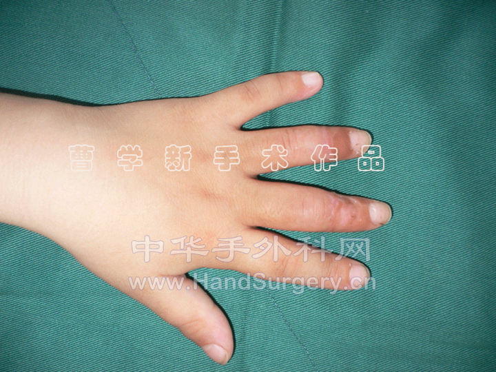 4.gif