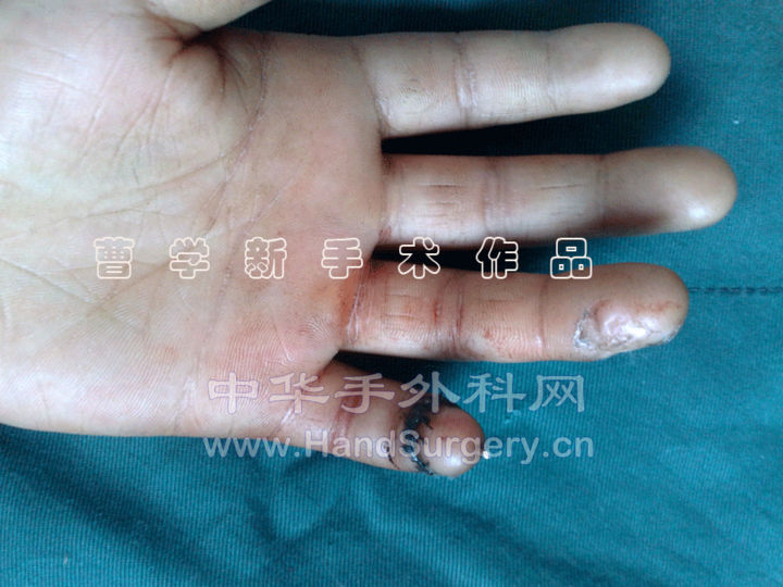 4.gif