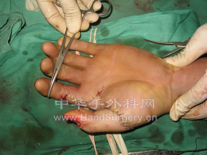 照片 478.jpg