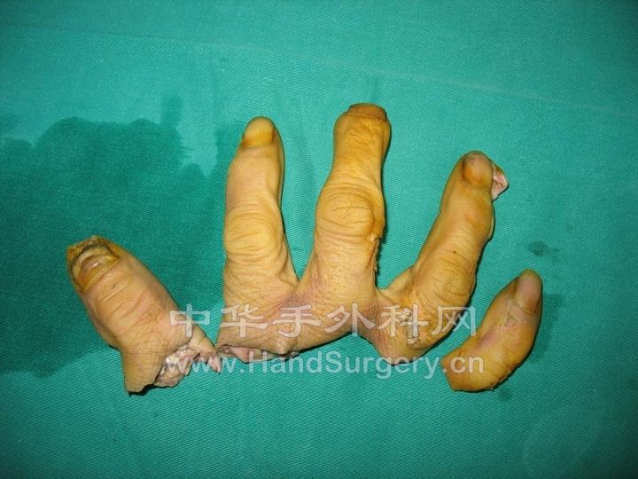 复件 IMG_7400.JPG