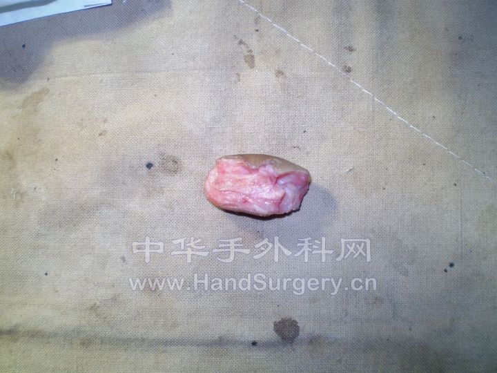照片 04.jpg