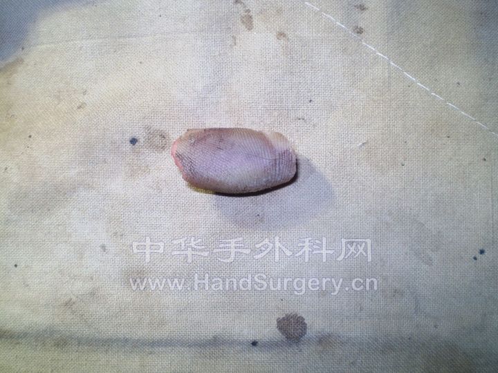 照片 05.jpg