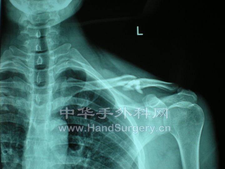 照片 054.jpg
