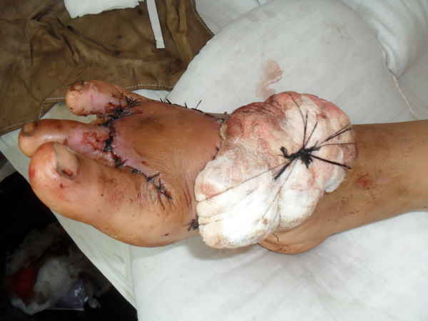 SDC11463.JPG