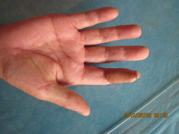 IMG_1324.jpg