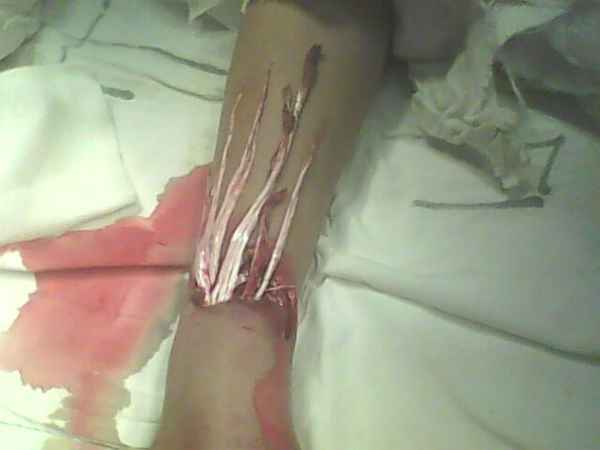 IMG0711A.jpg