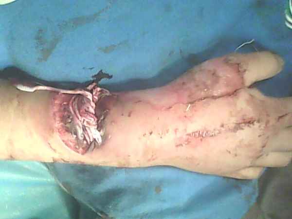 IMG0704A.jpg