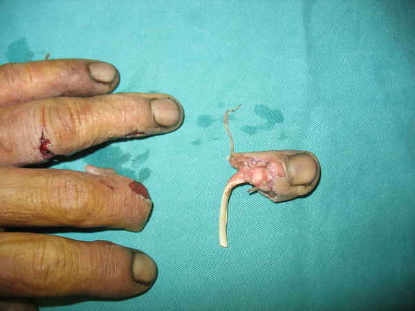 IMG_9856[1].JPG.thumb.jpg