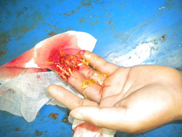 DSCN0725.JPG
