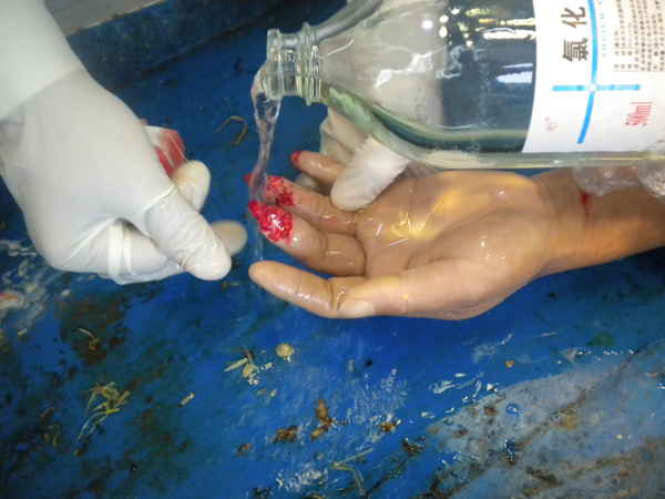 DSCN0731.JPG