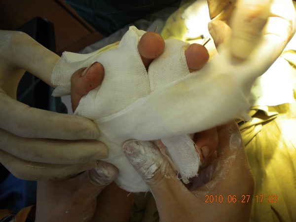 DSCN1528.JPG