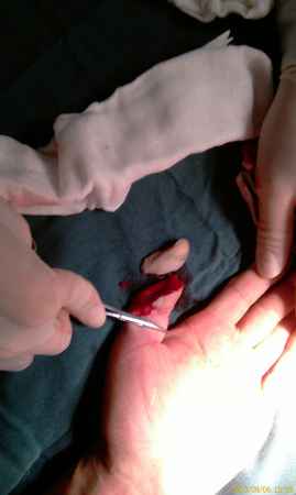 IMAG0232.jpg