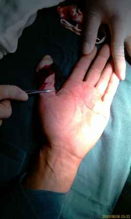 IMAG0233.jpg