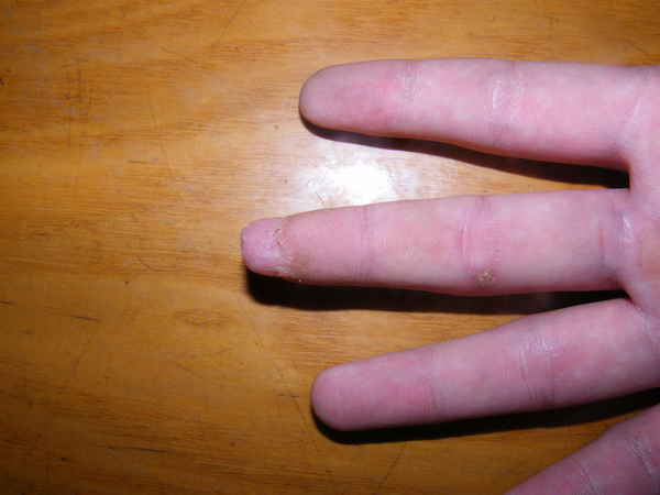 DSCF4144.JPG