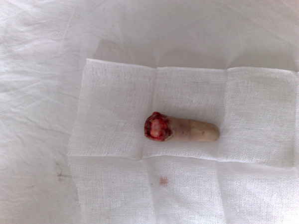 201007011533.jpg