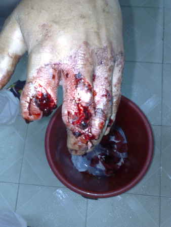 201007241592.jpg