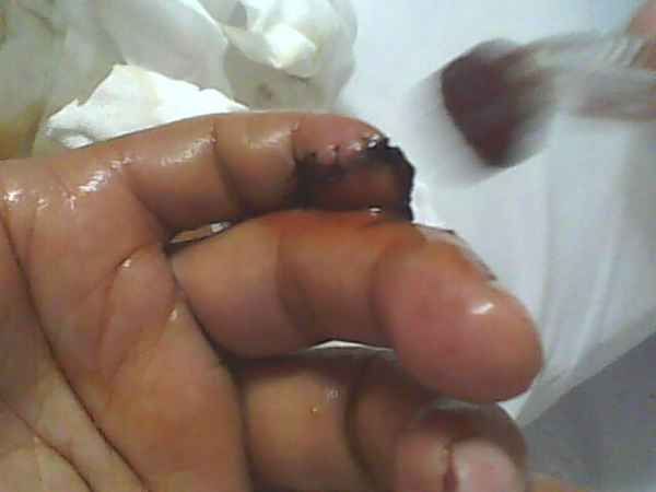IMG0727A.jpg