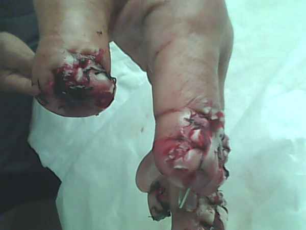 IMG0738A.jpg