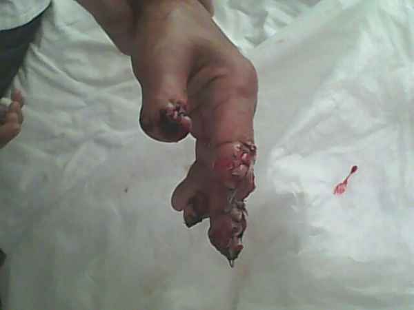 IMG0739A.jpg